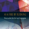As a Fire by Burning - by Roger Standing