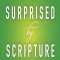 Surprised by Scripture By Tom Wright 