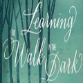 Learning to walk in the dark 