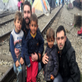 Challenges, blessings: the refugee crisis