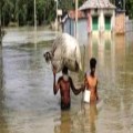 Relief for flooded Bangladesh villages