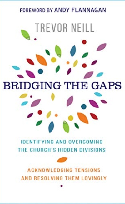 Bridging the Gaps - Neill