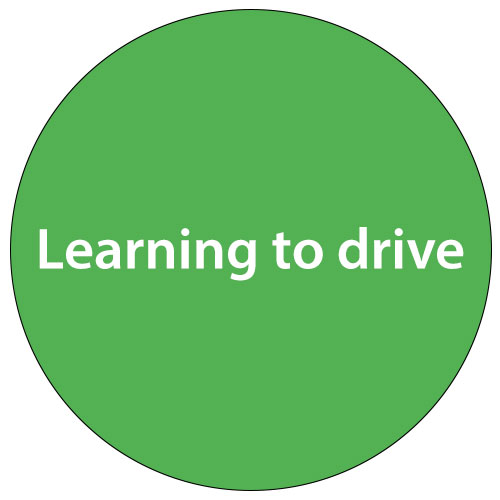 LearningToDrive