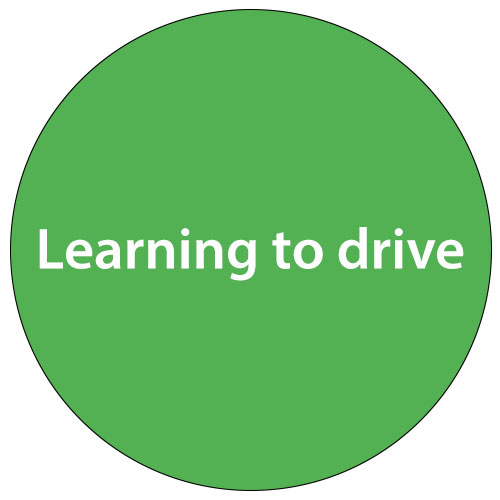 LearningToDrive