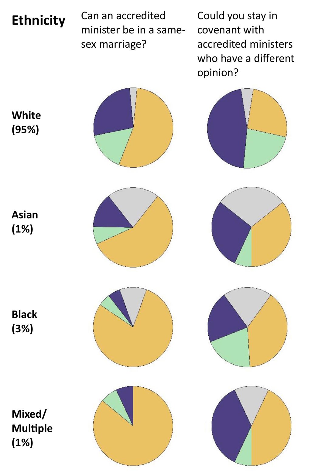 Chapter 4 Ethnicity pies