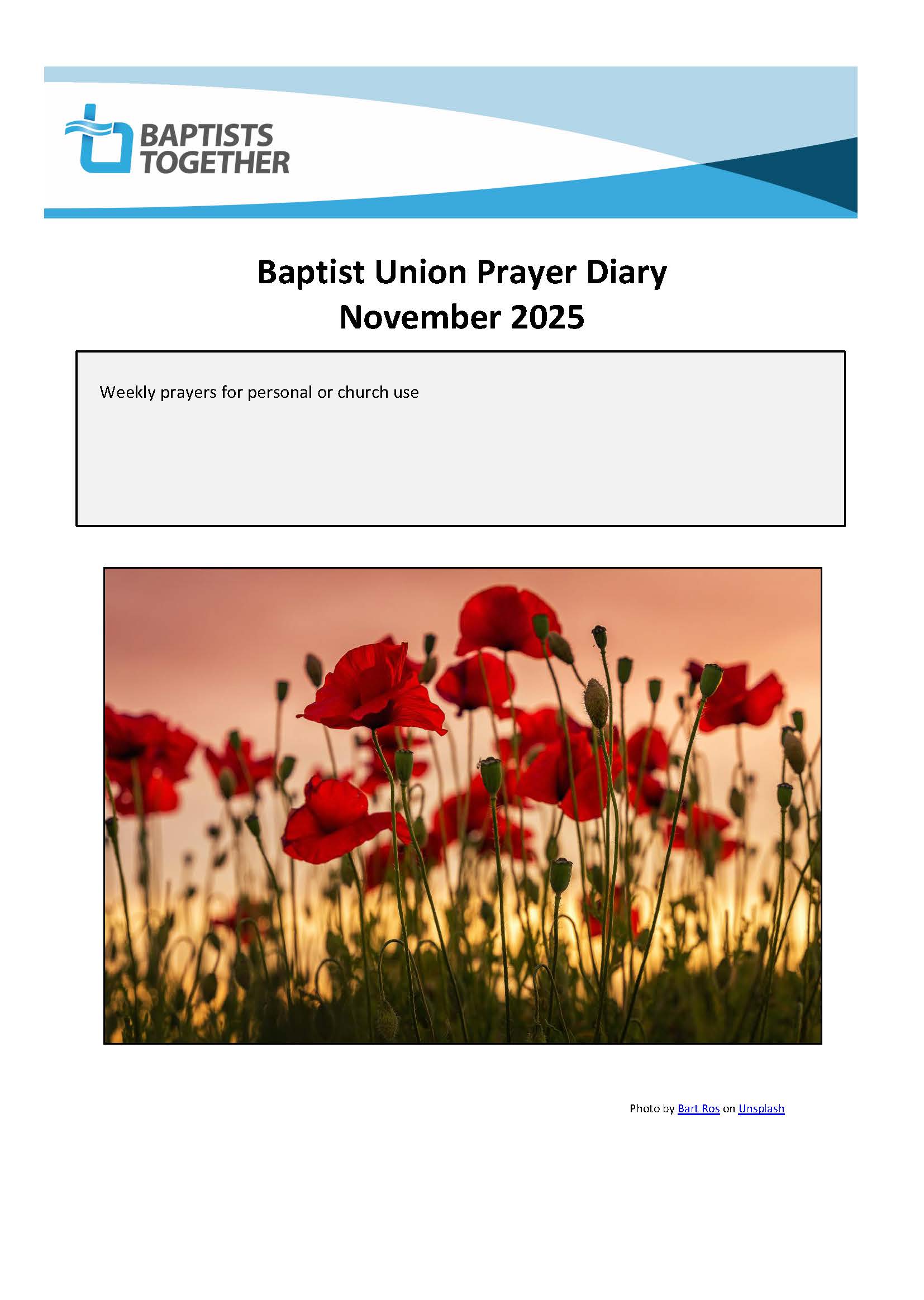 Bookcover Nov 25