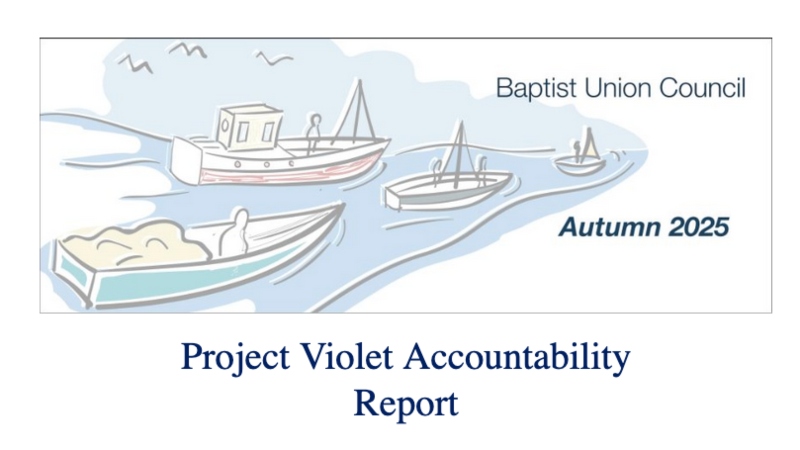 Project Violet Accountability 