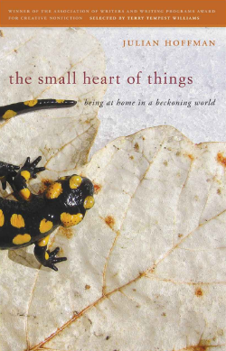 The small heart of things