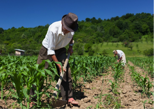 Farming