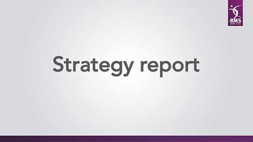 BMSStrategy