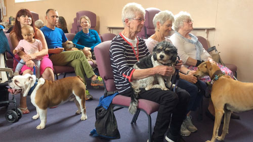 StapletonDog-blessing-congrega