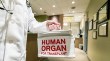New JPIT resource on organ donation