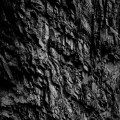 New coal mine - 'We lament this great injustice'