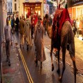 SWaBA: Christmas Camelling in Brecon