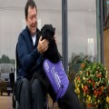 Disability awareness focus encouraged