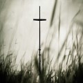 What our churches can offer the world