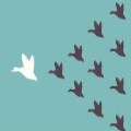 Do Baptist churches need leaders?