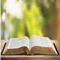 A biblical case for creation care