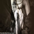 The roaring twenties